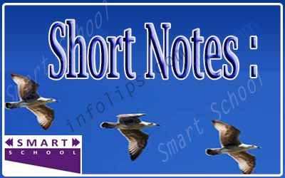 Short notes on birds