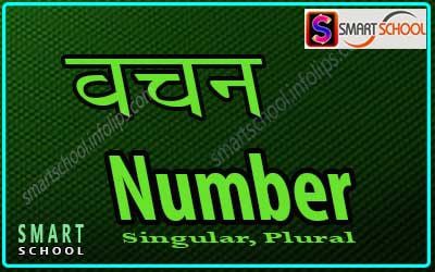 singular plural in marathi
