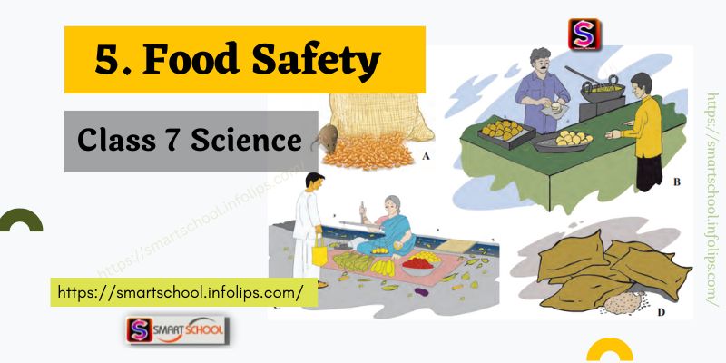 class 7 science chapter 5 food safety
