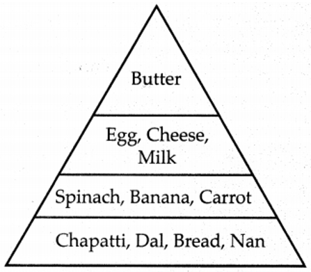 Nutrition and Diet